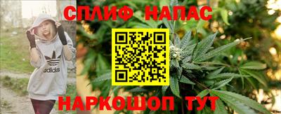 дмт Лениногорск