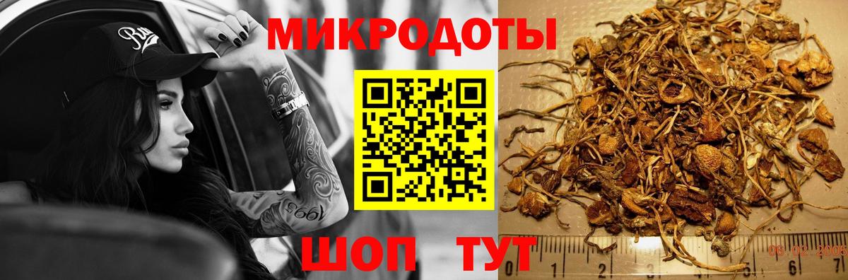 Галлюциногенные грибы прущие грибы Бор